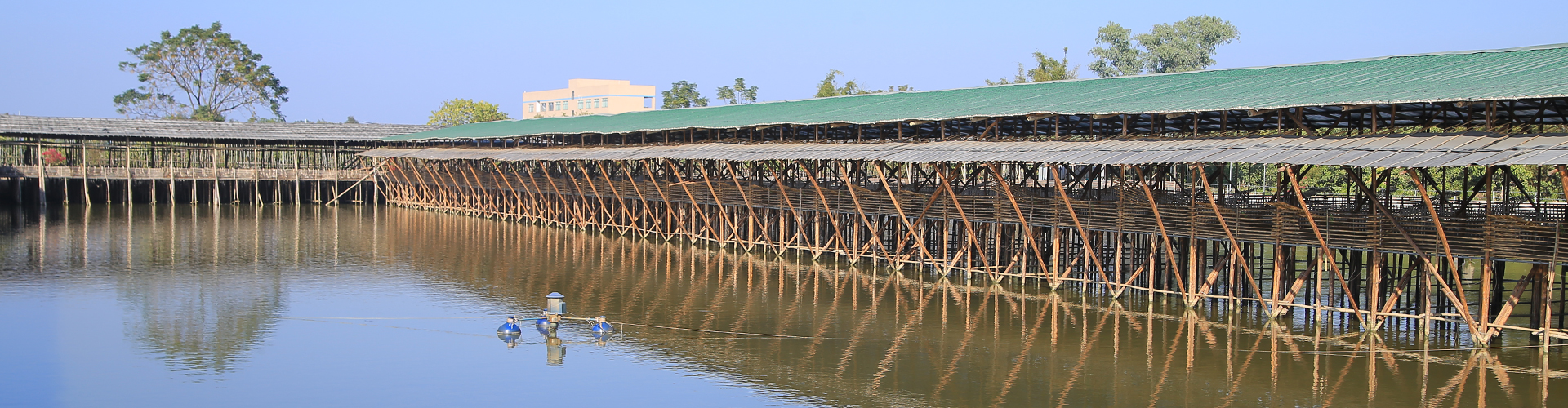 米兰体育app下载